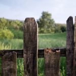 A tree branch fallen on a broken wooden fence