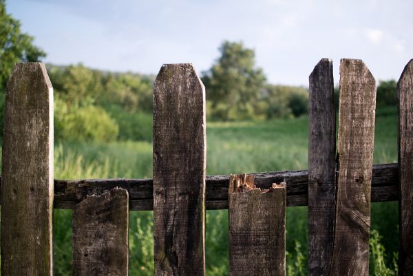 A tree branch fallen on a broken wooden fence