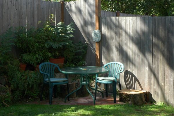 A fresh tree stump in a residential yard