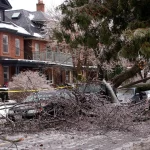 Tree fallen onto a parked car after a storm, a common type of tree damage claim