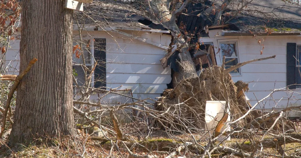 Large tree fallen onto a house roof after a storm, a loss often covered by homeowners insurance