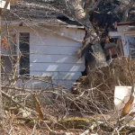 Large tree fallen onto a house roof after a storm, a loss often covered by homeowners insurance