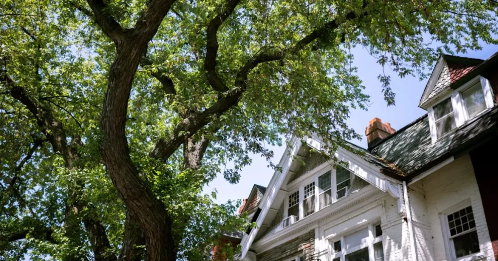 A suburban house with a tree casting shadows on its classic facade, showcasing a peaceful neighborhood.