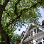 A suburban house with a tree casting shadows on its classic facade, showcasing a peaceful neighborhood.