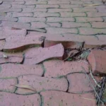 A concrete sidewalk cracked and lifted by tree roots growing underneath