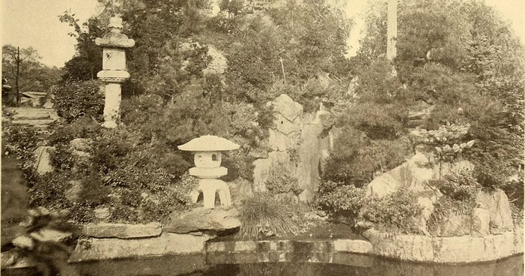Large healthy tree in a residential backyard near a property line between two homes