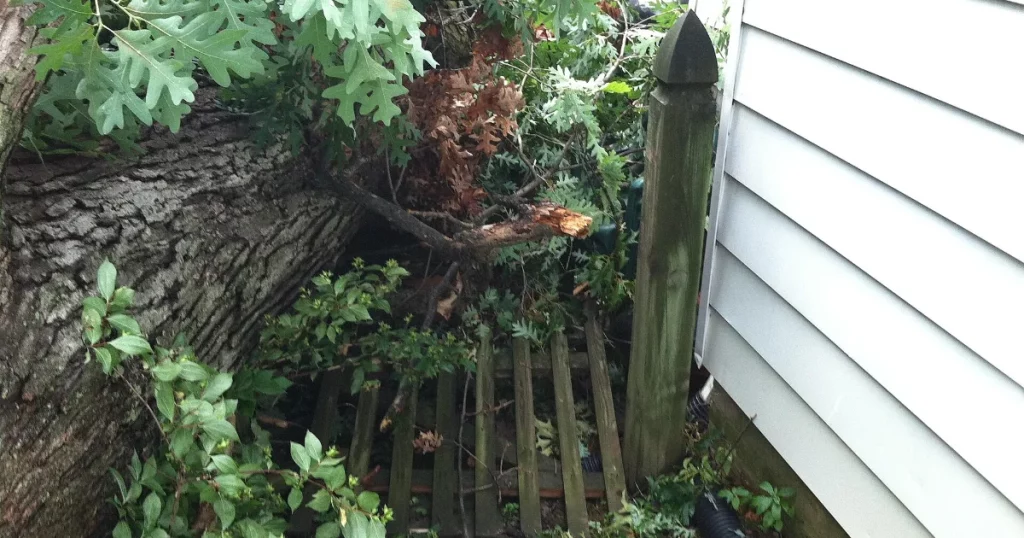 A fallen tree resting on a backyard fence, a detached structure covered by homeowners insurance