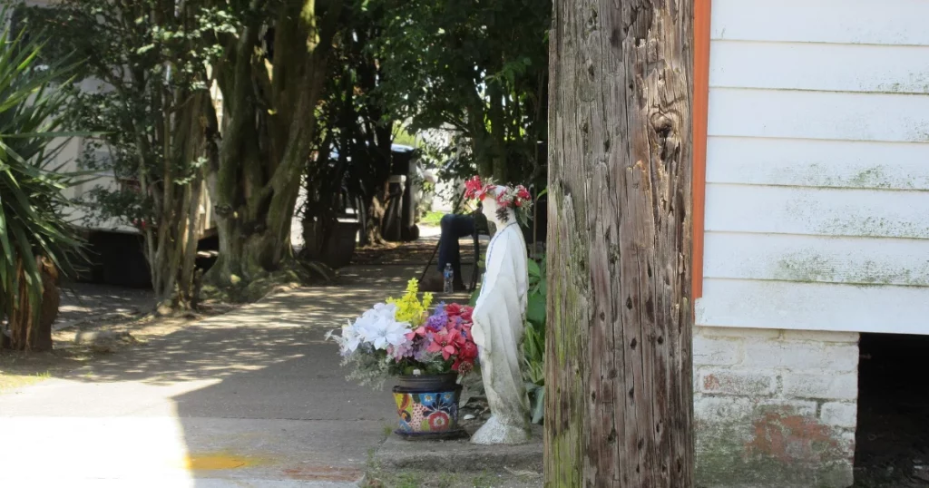 Mature street trees lining a residential city sidewalk, illustrating who is responsible for city trees