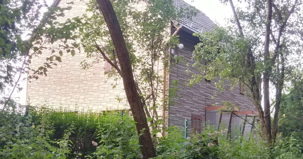 Apple tree with fruiting branches beside a garden boundary, illustrating who owns fruit from a neighbor tree